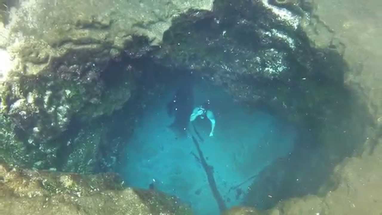 Bottom of Blue Hole Spring Ichetucknee Springs YouTube