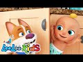 Peek a boo  finger family and more sing along kids songs  looloo kids