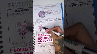 Iv Fluids, Explained.