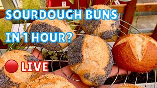 LIVE: Amazing German Sauerteig Brötchen (Sourdough Buns) in 1 Hour