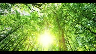 Introduction to Adolescent Psychology