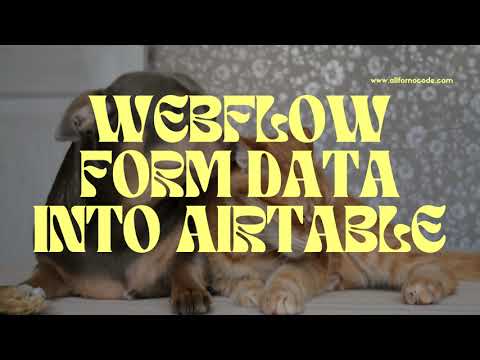 Connect Your Webflow Form to Airtable in 5 Easy Steps! Quick Tutorial