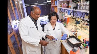 New hope for therapy resistant breast cancer