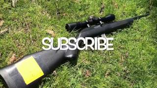 Marlin 795 .22 Rifle 250 Yards