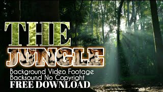 THE JUNGLE || Backsound HUTAN RIMBA no copyright + Video FREE DOWNLOAD