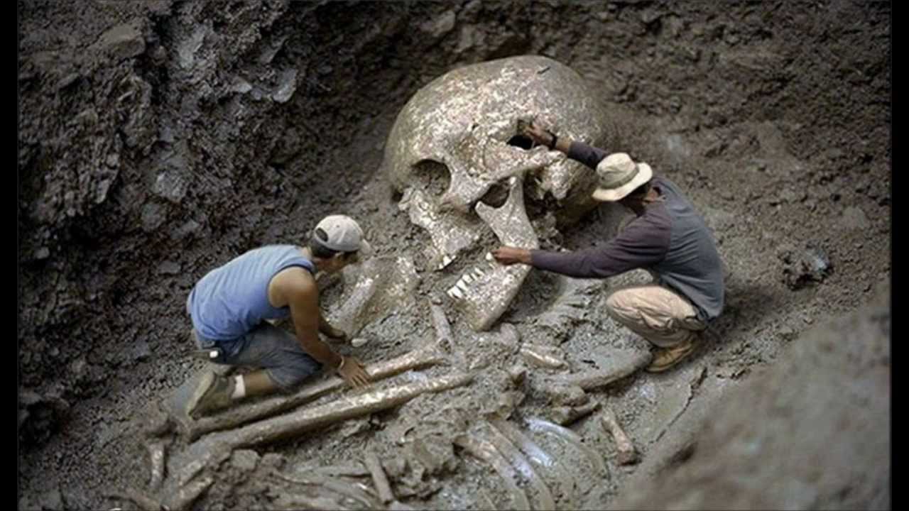 Image result for men and giant skulls