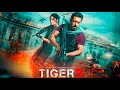 Tiger 3 Full Movie Salman Khan Katrina Kaif Emraan Hashmi HD 1080p Facts And Review 