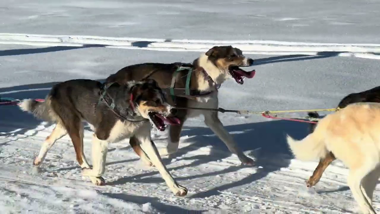 Canada 2025 - Southern Lakes Resort, Lake Tagish, Whitehorse, Yukon Territory