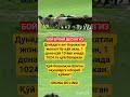 1 та қўй = 1024 та қўй?!Бой бўлишнинг сирини билиболинг!#ibrat#rek#news#hikmat#shorts#uzb