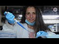 Covid19 coronavirus research at the technion