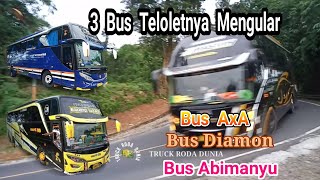 Telolet Basuri Viral Mengular, 3 Bus Telolet Basuri Mengular, Bus Axa, Bus Abimanyu, Bus Diamon