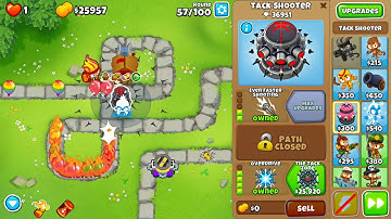 Monkey meadows chimps mode black border. Primary only