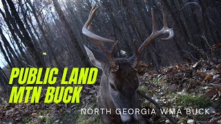 NORTH GEORGIA PUBLIC LAND BUCK! THANKSGIVING WEEK WMA BUCK! HOT DOE CHASE IN THE MOUNTAINS!