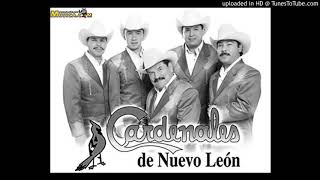 Video thumbnail of "Cardenales de Nuevo Leon-Qué Lindo Es Ser Rico"