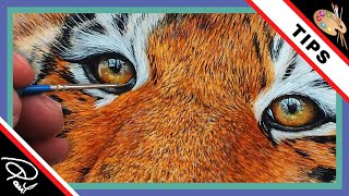 Watercolour Wednesday! Step by Step Tuition - Paint a Tiger's Eye!