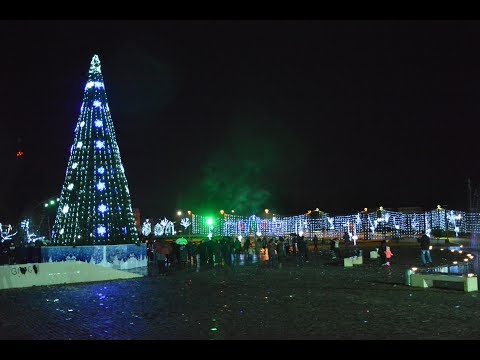 ზუგდიდში მთავარი ნაძვის ხე საზეიმოდ აანთეს