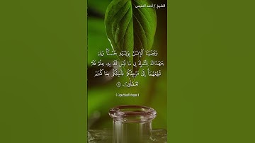 سورة العنكبوت آية 8 القارئ أحمد النفيس