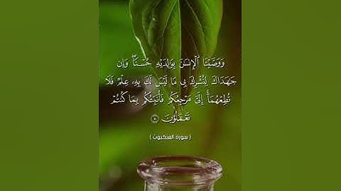 سورة العنكبوت آية 8 القارئ أحمد النفيس