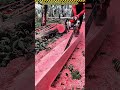 A Focused Logger Splitting Massive Hardwood #dailywork