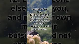 Proverbs 27:2.  Inspirational bible verse #inspiration #bible #jesus