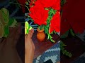 #flowermakingwithpaper #youtubeshorts