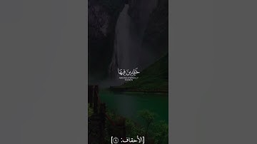 ان الذين قالوا ربنا الله ثم استقاموا فلا خوف عليهم ولاهـم يحزنون|| القارى سعد الغامدي|| سورة الاحقاف