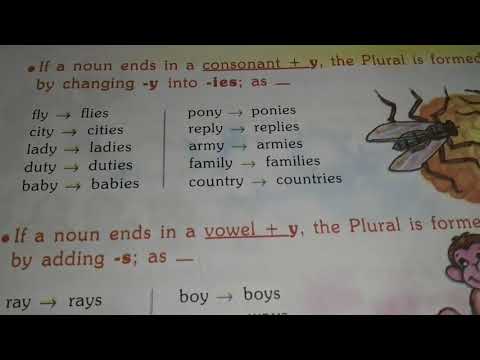 Class 5 | English grammar | sentence and noun