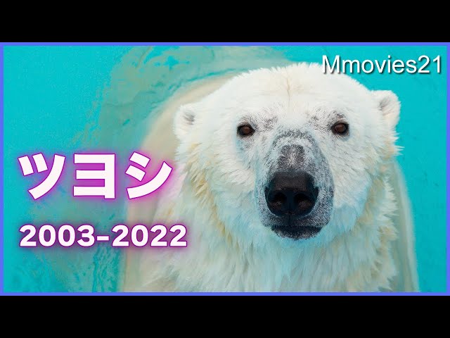 ホッキョクグマのグッズ7点セット/ズーラシア ホッキョクグマのグッズ7点セット/ズーラシア - メルカリ