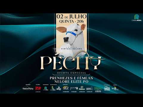 LOTE PECHY   TURBINADA FIV GIBER   GIBE 1532