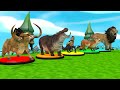 Cows Then Monkey Fox Lion Jump Over Obstacles Cows Then Monkey Fox Lion Jump Over Obstacles