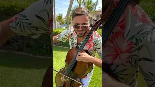 Hauser - Daily Dose Of Hauser 😉🎻 Have A Wonderful Sunday 😘🌴#Hauser #Cello #Dailydose #Music
