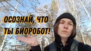 МЫ БИОРОБОТЫ? Вы живёте по чужим программам. Осознание