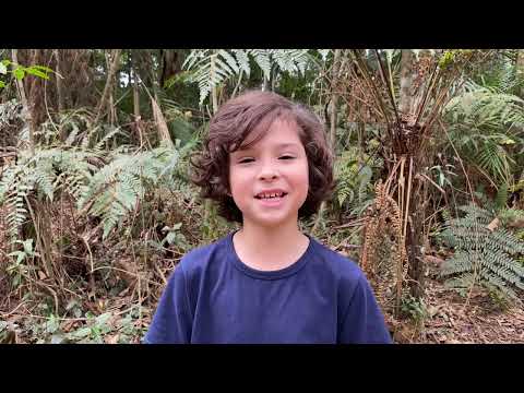 Thumbnail do vídeo