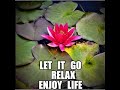 Meditation music relax and recharge let it go relax enjoy life
