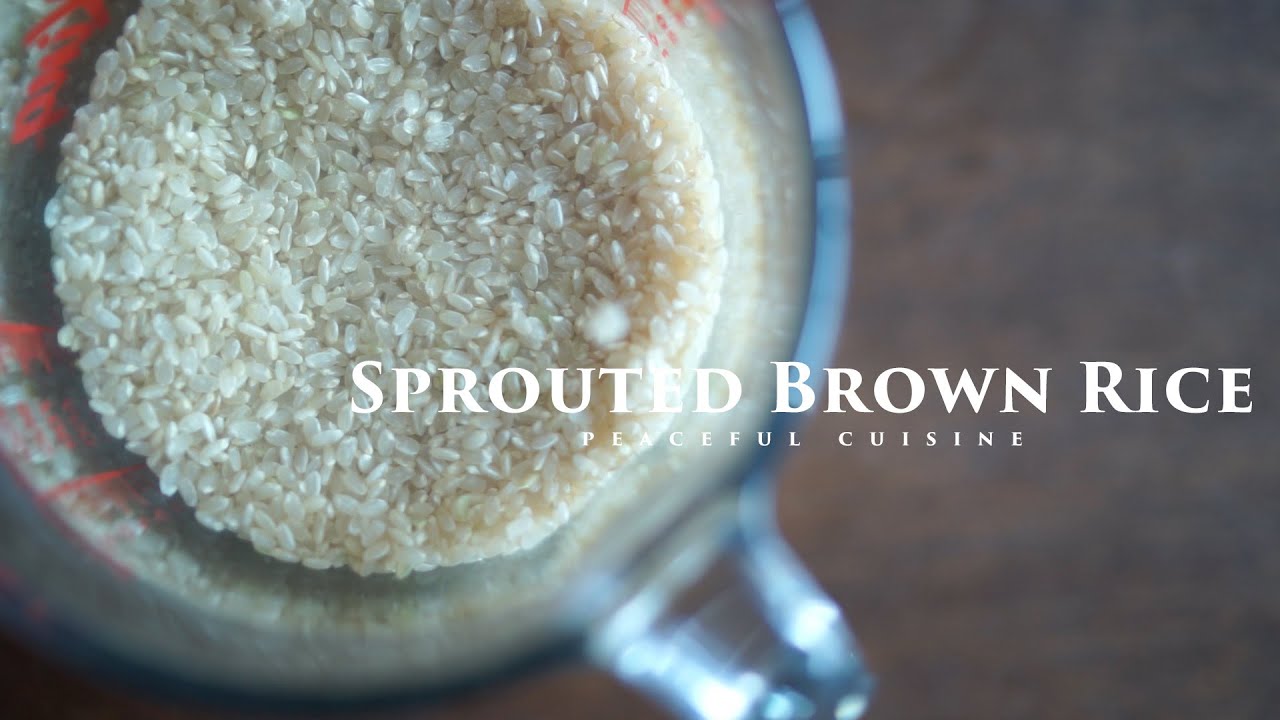 Sprouted Brown Rice 発芽玄米の作り方 Youtube