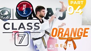 Taekwondo   Orange   Class 7 (Part 4)