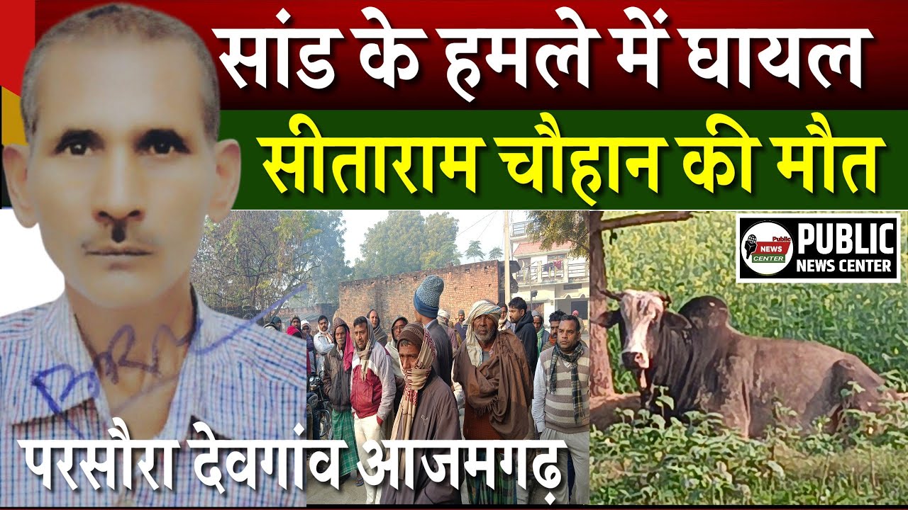 सांड का हमला, Parsaura के सीताराम चौहान की मौत 