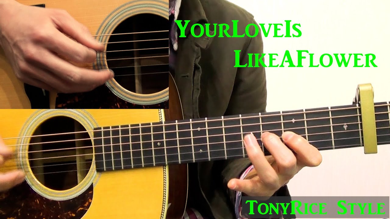 Your Love Is Like A Flower/Tony Riceギターソロ解説（ブルーグラスギタリストのギタープレイ解説動画3