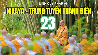 NIKAYA - Trùng Tuyên Thánh Điển 23 (24.12.2024)