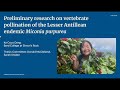 Preliminary research on vertebrate pollination of the Lesser Antillean endemic Miconia purpurea
