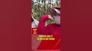 Phát hiện công ty xả thải ra môi trường #shorts