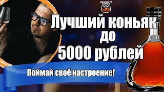 Лучший коньяк до 5000 рублей. Топ коньяков