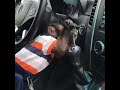 عندما يقرر القرد قيادة السيارة Monkey Swich On A Car