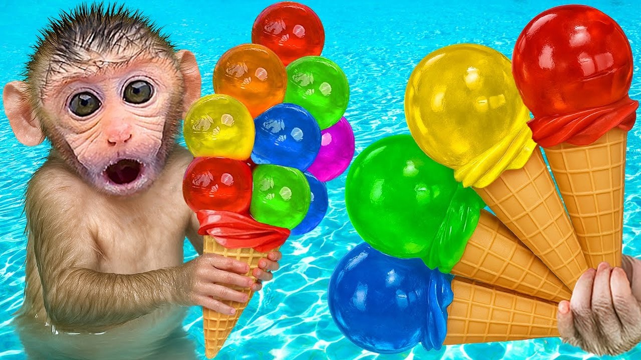 Macaquinho Bon Bon come fruit ice cream à beira da piscina com outros macaco e apanha melancias