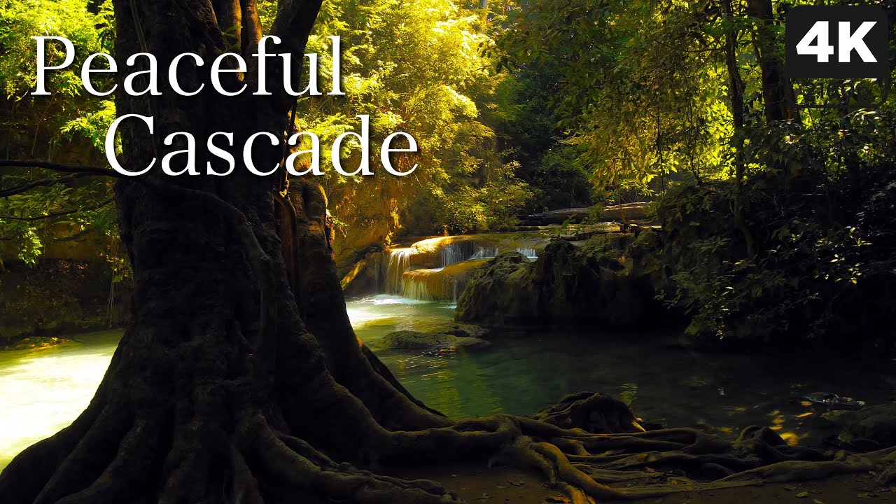 4K Peaceful Tropical Cascade - 5 Hours Flowing Water & Bird Sounds for Relaxation & Sleep