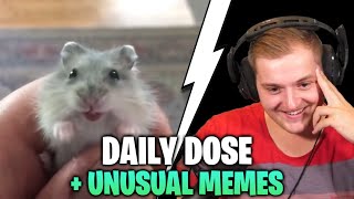 Trymacs REAGIERT auf Daily Dose + Unusual Memes! | Trymacs Stream Highlights