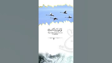 القارئ : رعد الكردي / سورة الناس