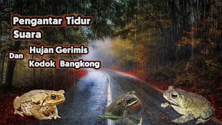 Alam Menurunkan Hujan Gerimis dan Suara Kodok Bangkong Sebagai Terapi Tidur