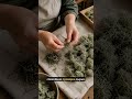 Уснея после переборки: зачем смотреть на остаток