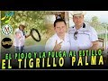 🇲🇽la trayectoria del TIGRILLO PALMA❤️